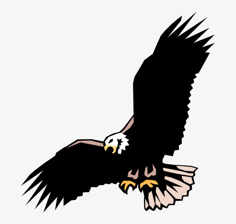 Vector Illustration Of American Bald Eagle National - Adler, transparent png download
