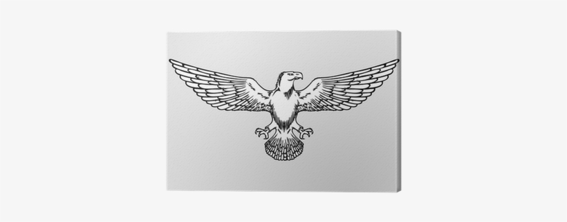 Bald Eagle Wings, transparent png download