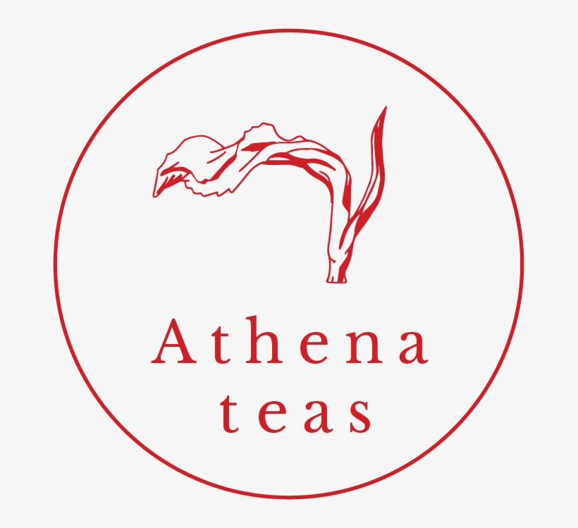 Athena Teas - No Less Than Yes: Personal Encounters With The Promises, transparent png download