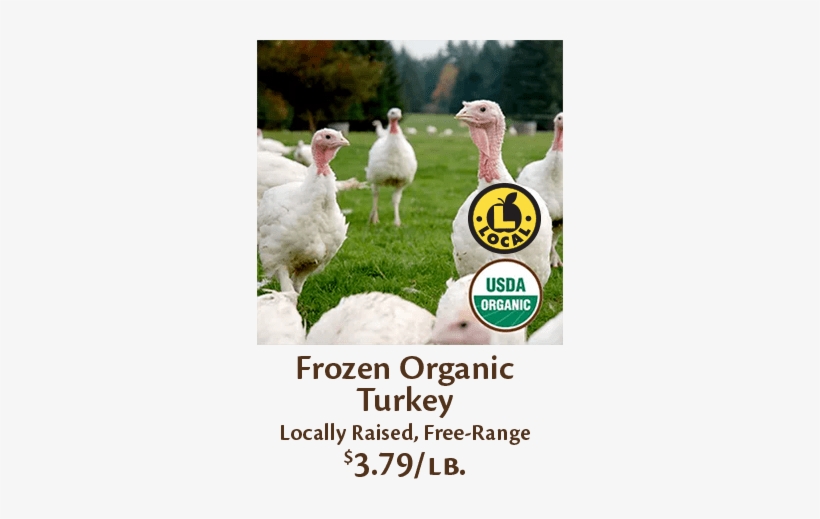 Fresh Turkey Frozen Turkey Frozen Organic Turkey - Broad Breasted White Turkey Female, transparent png download