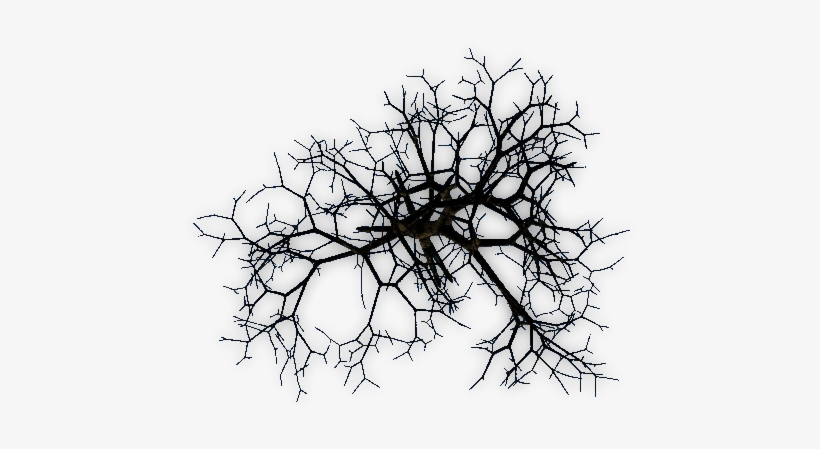 Trees At Night Png, transparent png download