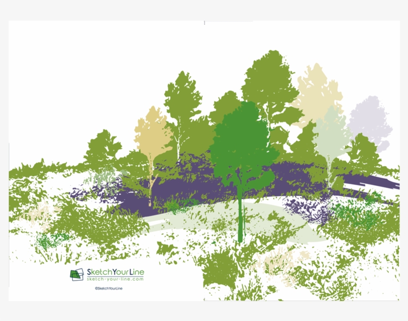 Painted Horizon Rectangular Greeting Cards - Tree, transparent png download