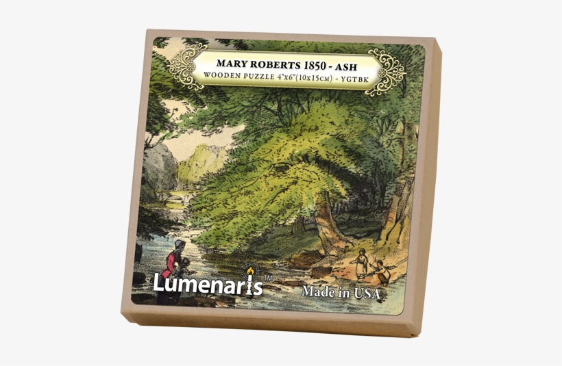 Ash - Old-growth Forest, transparent png download