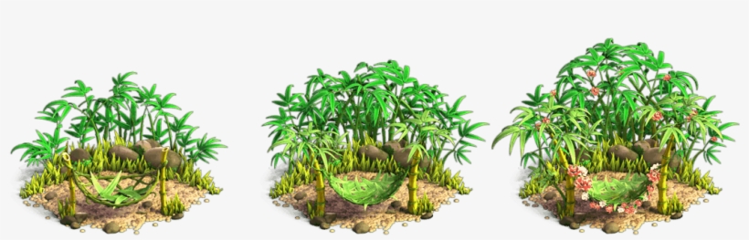Panda Forest Stages - Tree, transparent png download