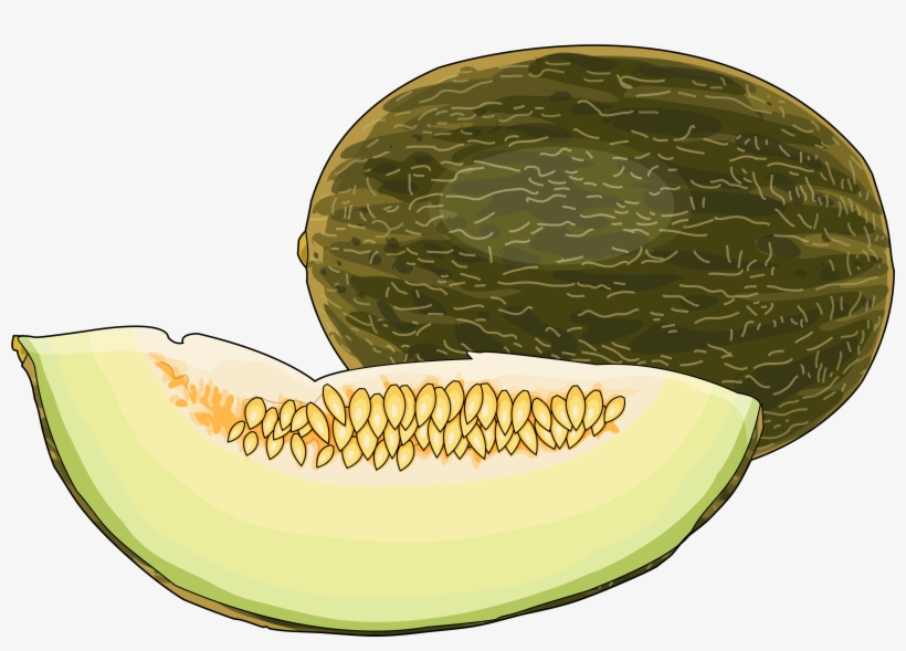 Cantaloupe Png Download - Dibujo Melón, transparent png download