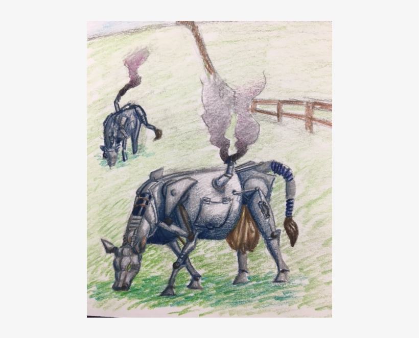 Visual Arts Picture - Burro, transparent png download