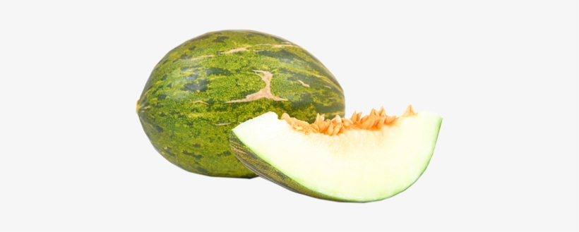 Melon - Muskmelon, transparent png download