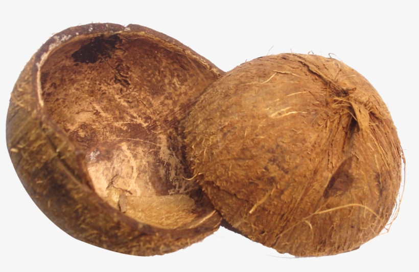 Coconut Shell Png, transparent png download