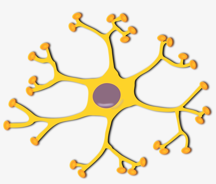 Pixabay Neuron - Neuron Png, transparent png download