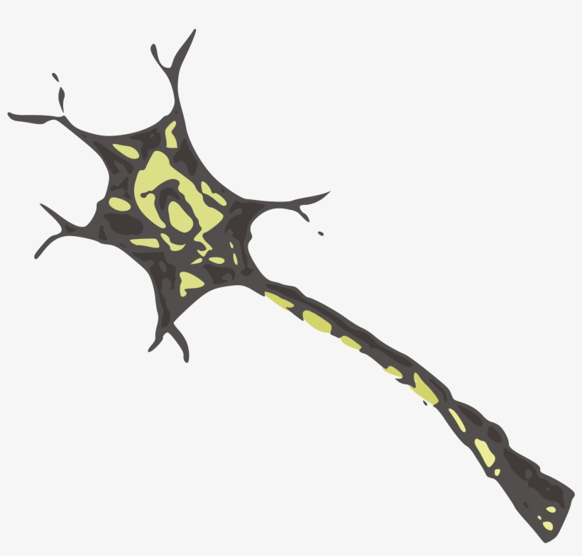 Neuron Png, transparent png download