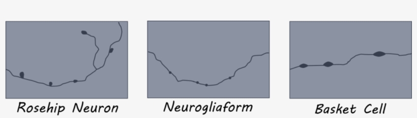 Rosehip1800 - Personalized Bridesmaid Tote Bags Personalized Tote,, transparent png download