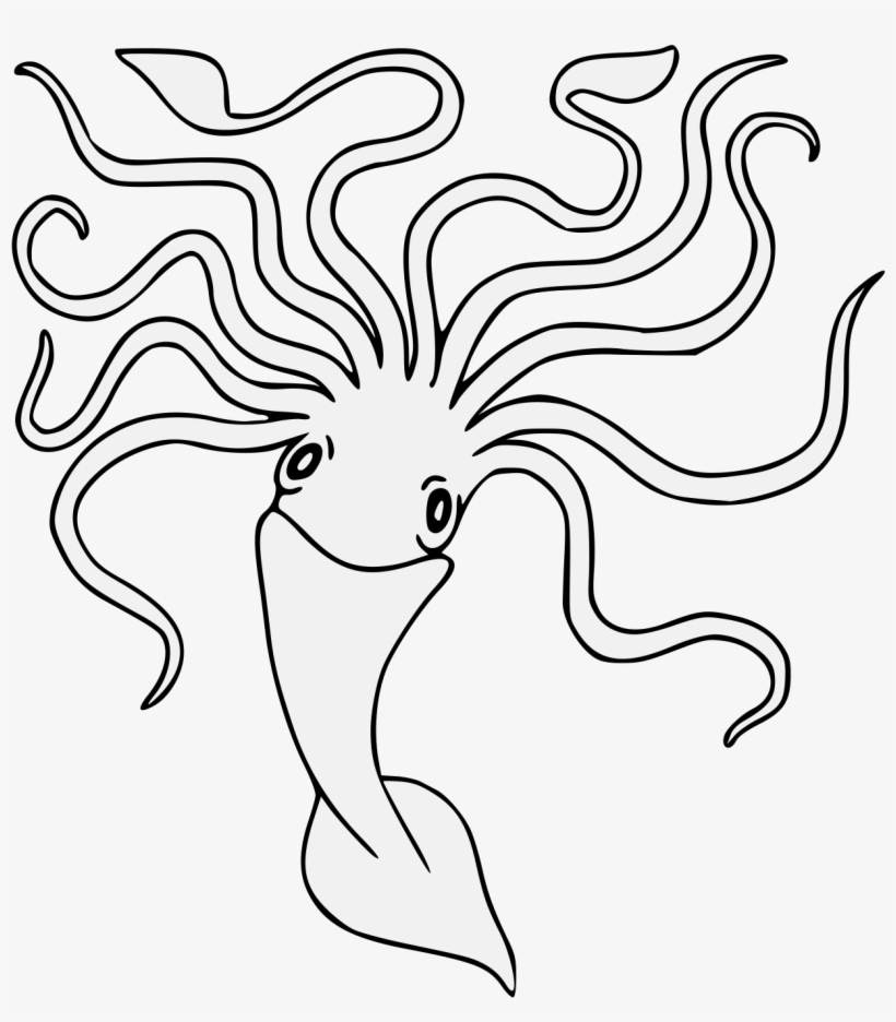 Kraken - Visual Arts, transparent png download