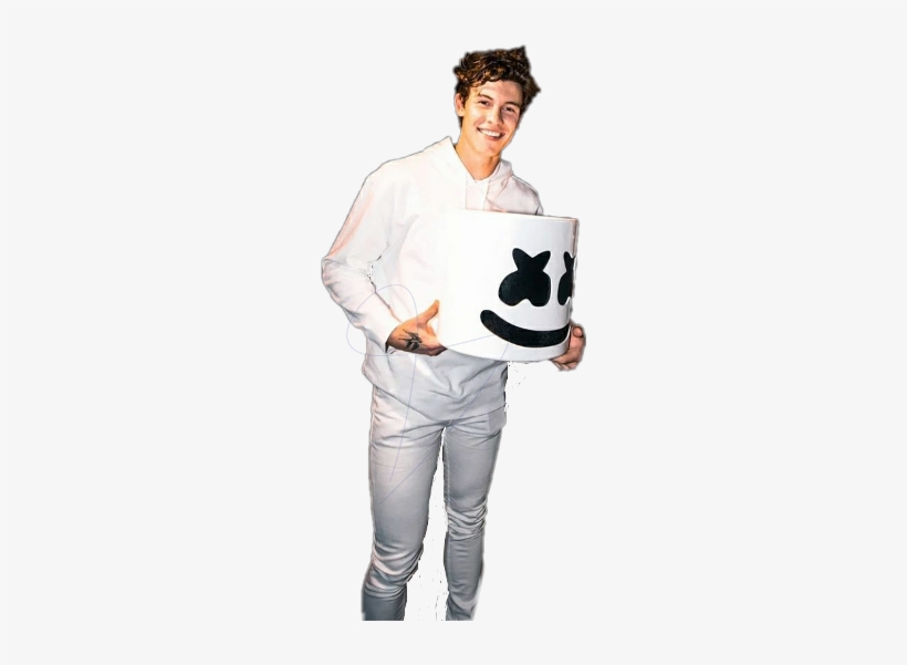 Shawn Shawnmendes Shawnisart Shawnpeterraulmendes Mendesarmy - Shawn Mendes, transparent png download