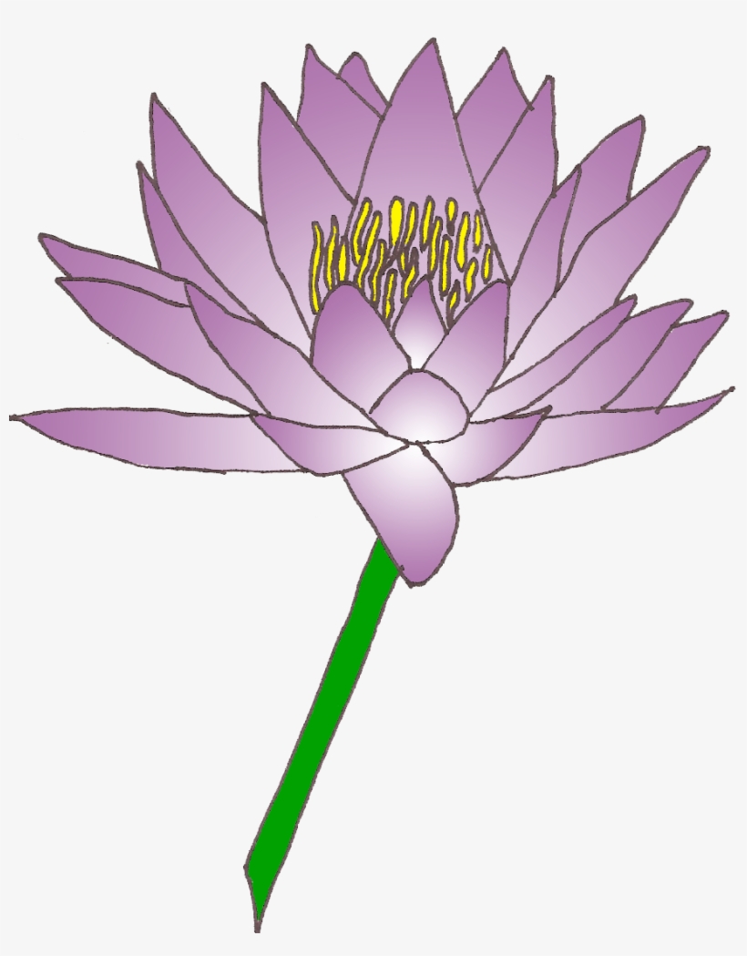 Free - Clip Art Lily Flower, transparent png download