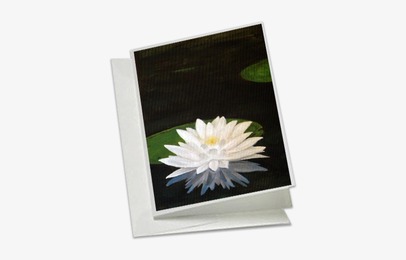 "water Lily" - Water Lilies, transparent png download