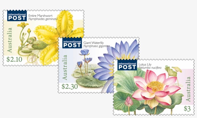 Water Plants Set Of Stamps - Sacred Lotus, transparent png download