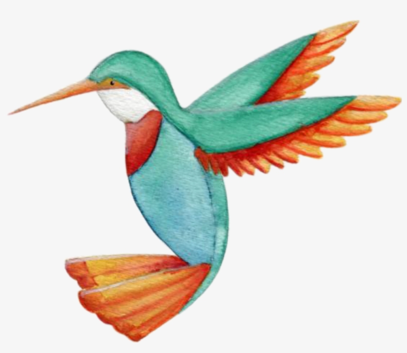 Hummingbird, transparent png download