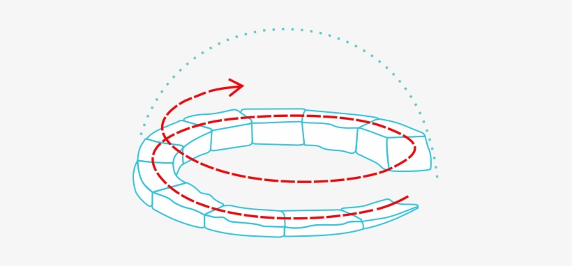 Next Image - 愛斯基摩 人 冰 屋, transparent png download