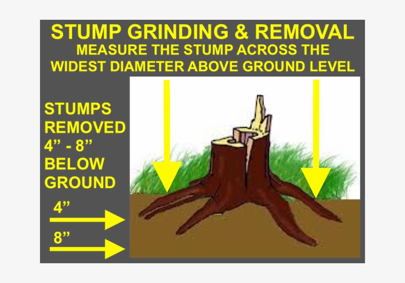 Professional Stump Removal - Stump Grinder, transparent png download