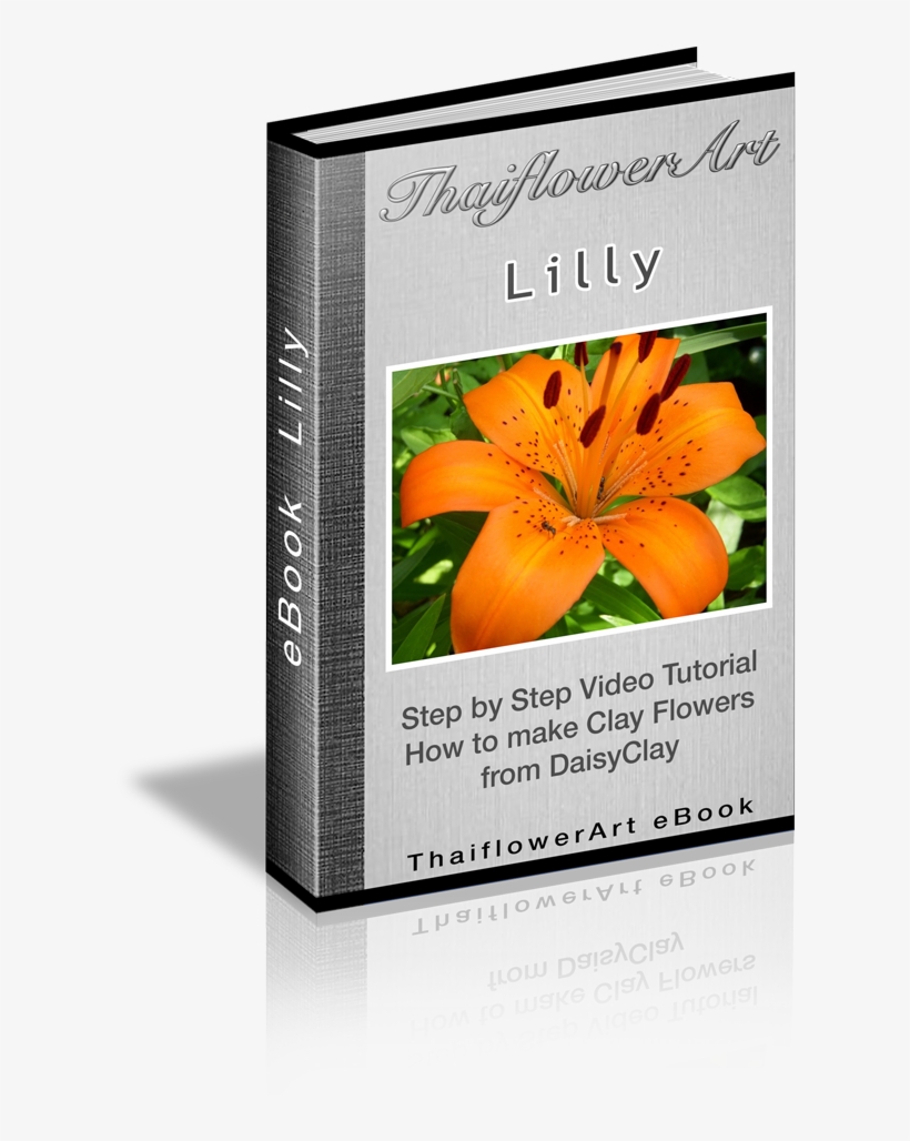 Lily Tiger Play, 8-pack, transparent png download