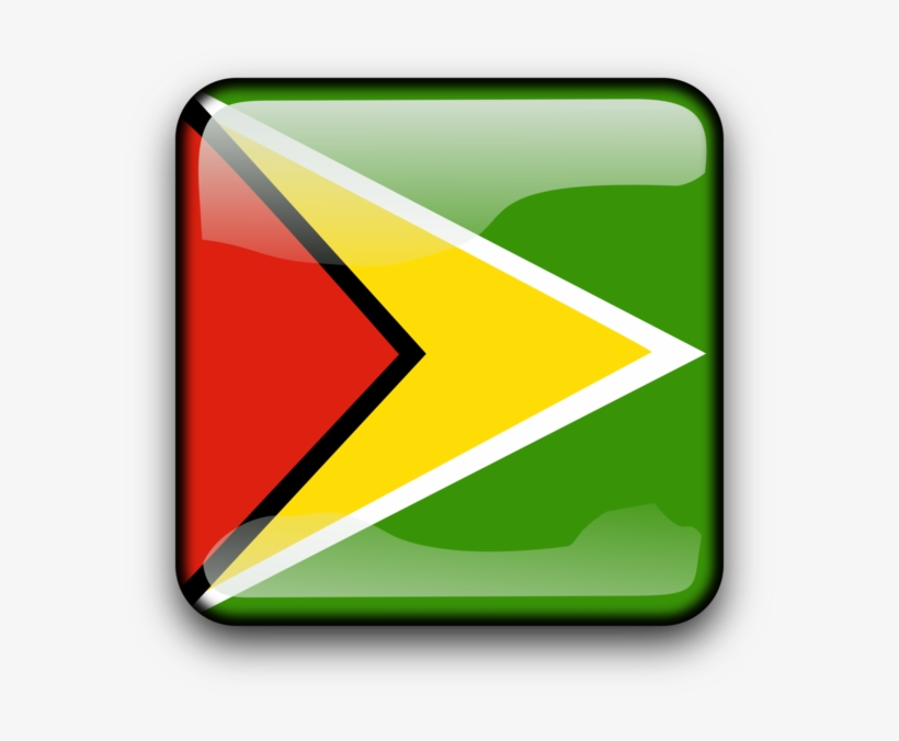 Flag Of Guyana Computer Icons Flag Of Barbados - Flag Of Guyana, transparent png download