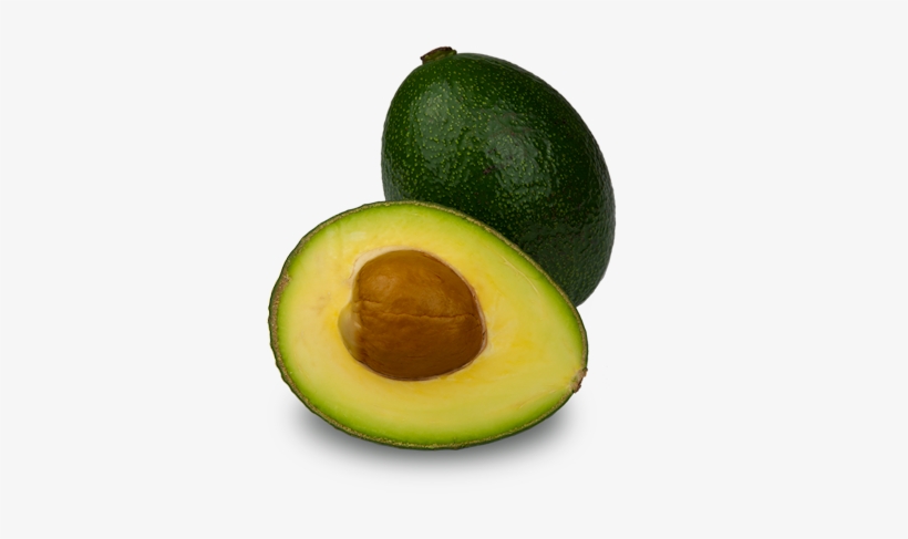 Reed - Palta Esther, transparent png download