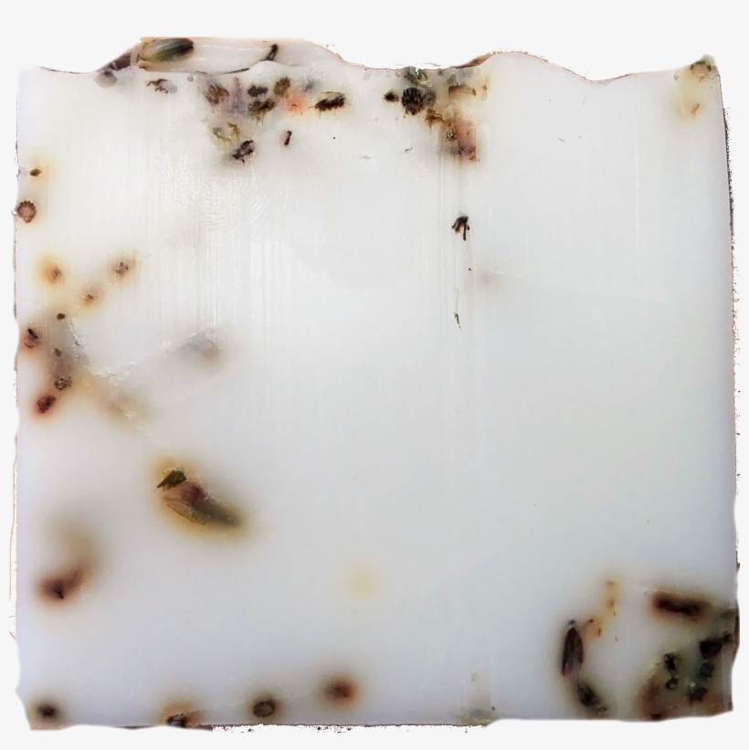 2333 × 2333 In Lavender & Seeds - Babylon Tree, transparent png download