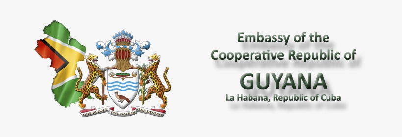 Navigation - Guyana Republic Anniversary Logo, transparent png download