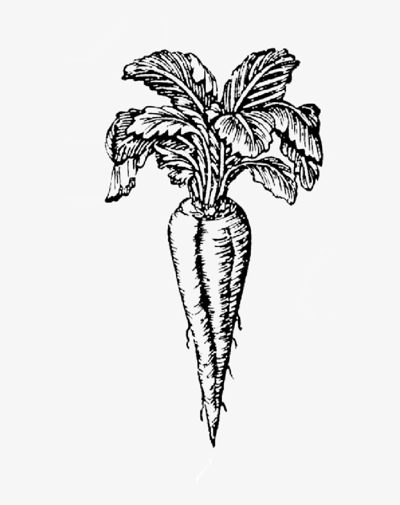 Vegetarian Sausages - Sausage, transparent png download