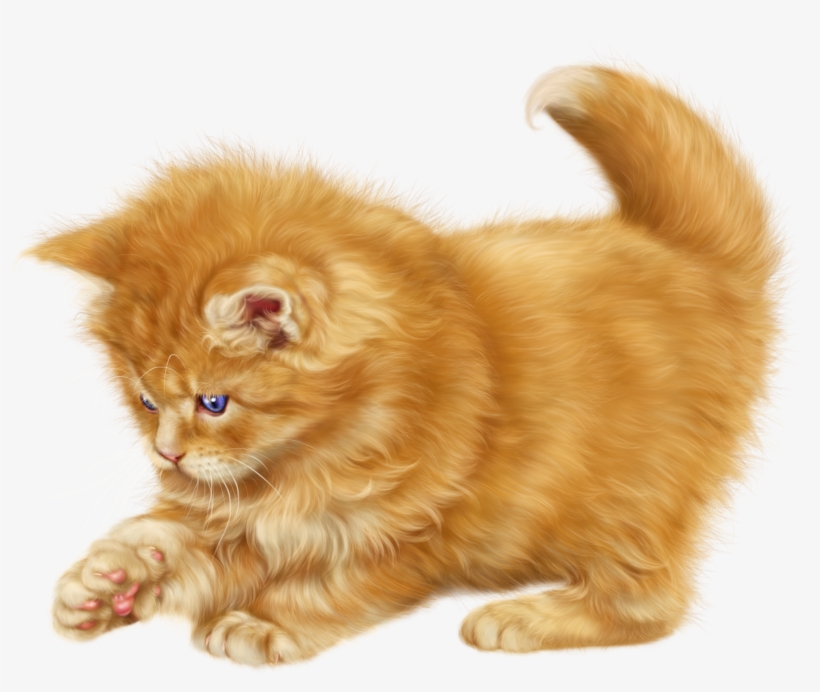 Visit - Cat Clipart, transparent png download