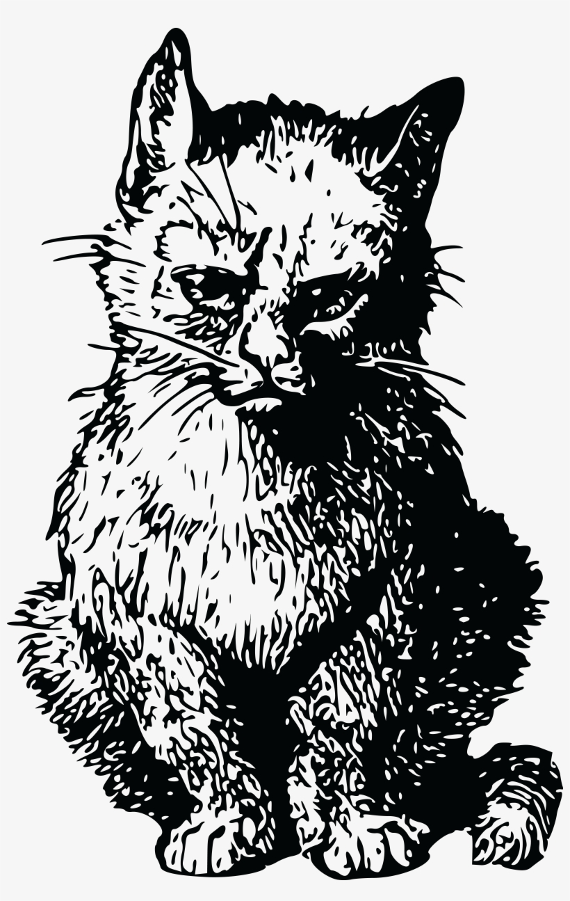 , , - Cat, transparent png download