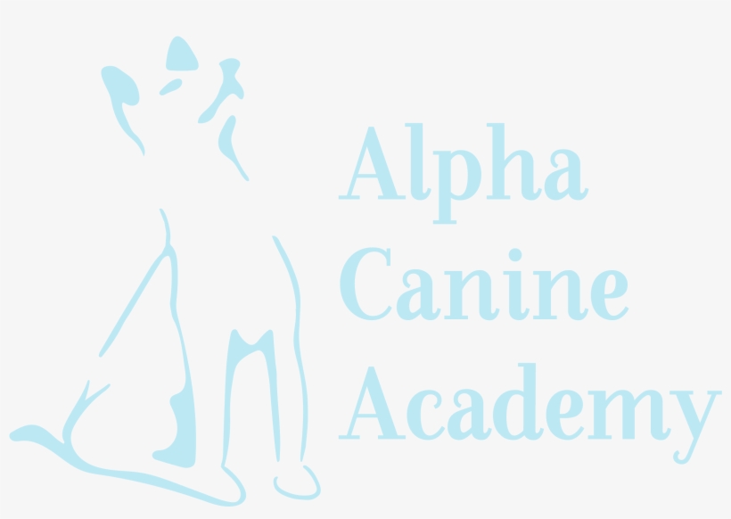 Logo - " - Logo, transparent png download