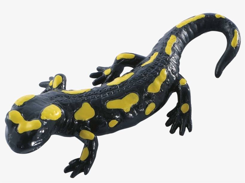 Salamander Transparent Images - Fire Salamander (action Figures/figures), transparent png download