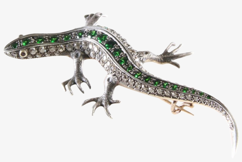 Salamander Png Transparent Image - Jewellery, transparent png download