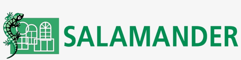 Salamander Windows, transparent png download