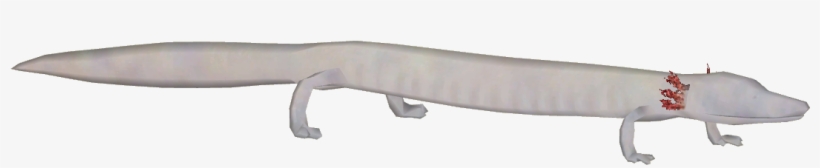 Texas Blind Salamander - Blade, transparent png download
