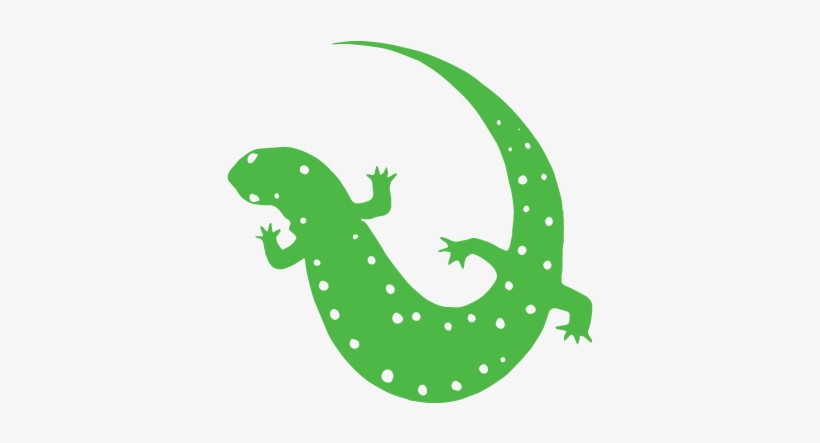 Salamander - Lizard, transparent png download
