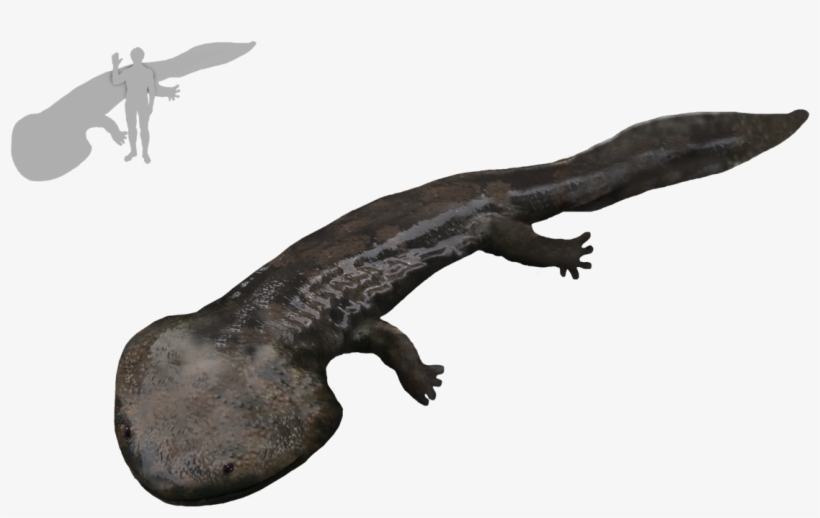 Koolasuchus Png, transparent png download