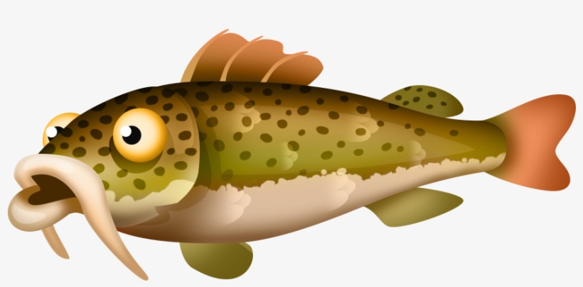 Red-tailed Catfish - Ikan Hay Day, transparent png download