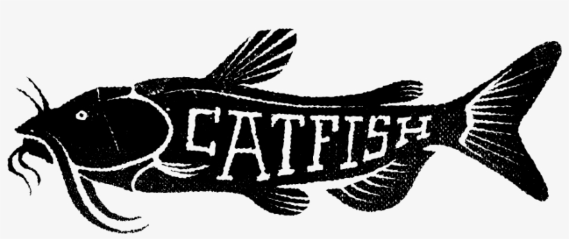 Catfish Illustration - Cyprinidae, transparent png download