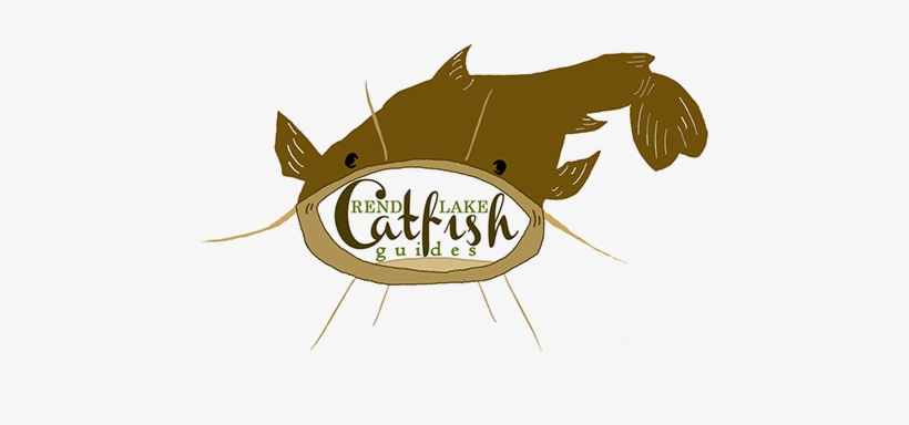 Rend Lake Catfish Guides - Catfish, transparent png download