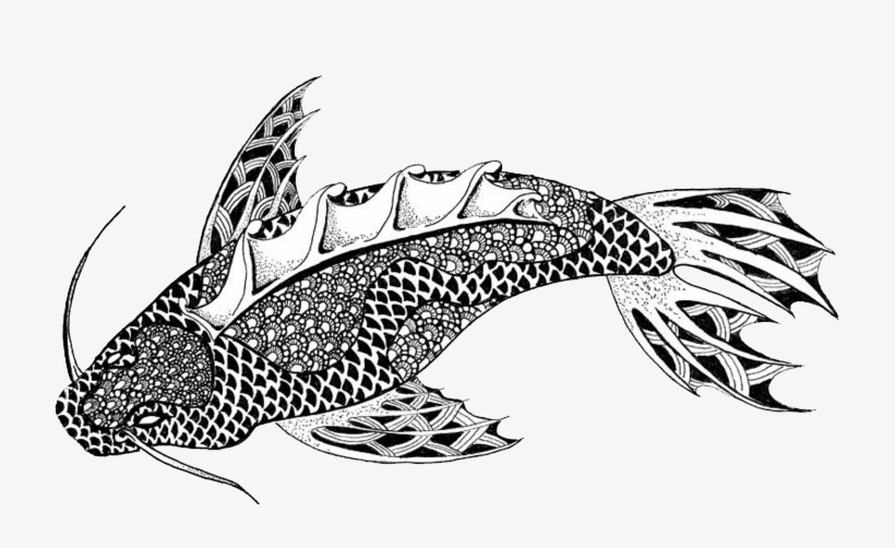 Index Of - Catfish Zentangle, transparent png download