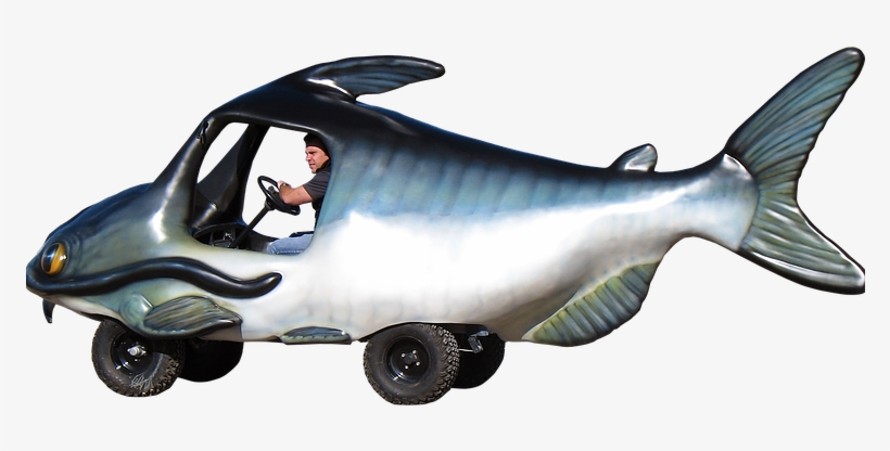 Harvest Select Catfish Cart - Whale, transparent png download