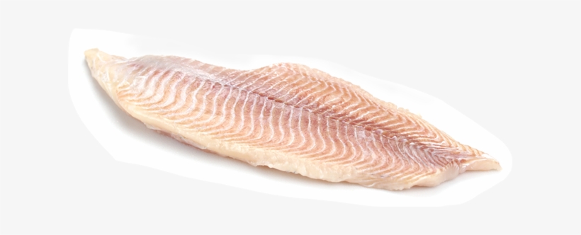 Catfish - Seafood, transparent png download