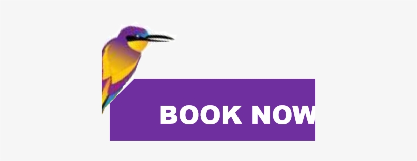Book Now1 - Coraciiformes, transparent png download