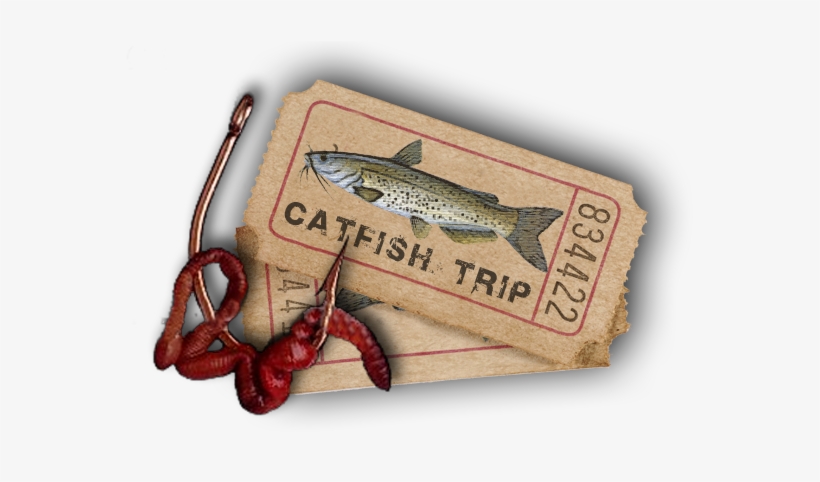 Catfish - Trout, transparent png download