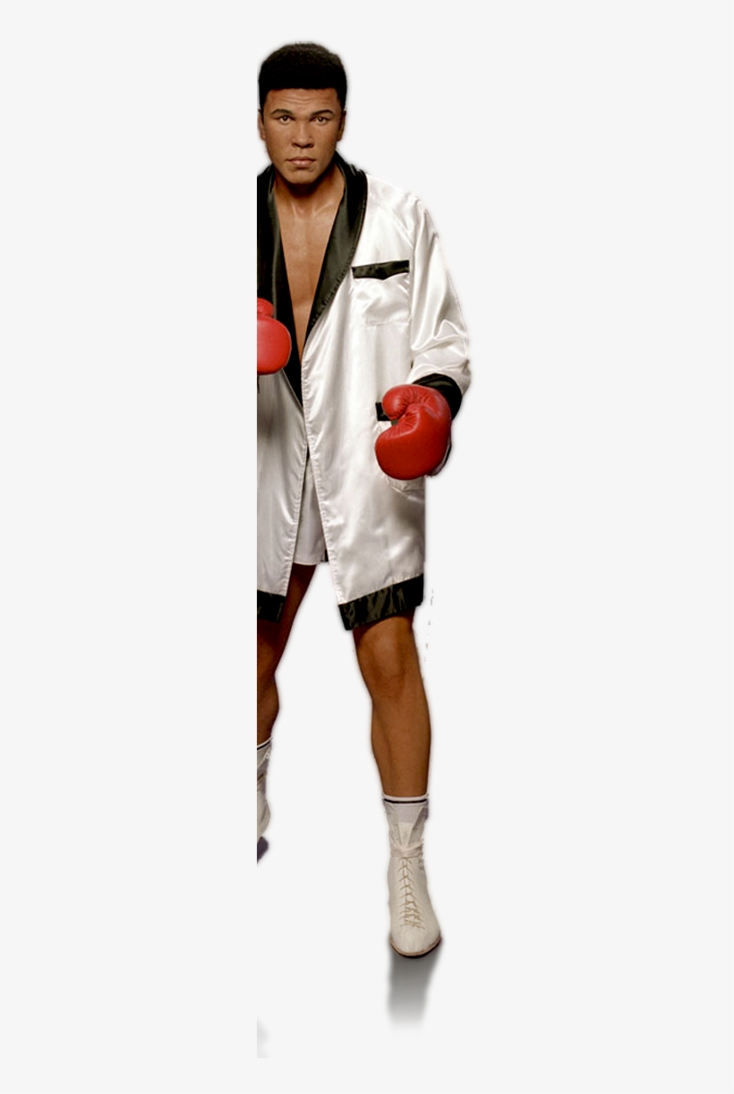 Amateur Boxing, transparent png download