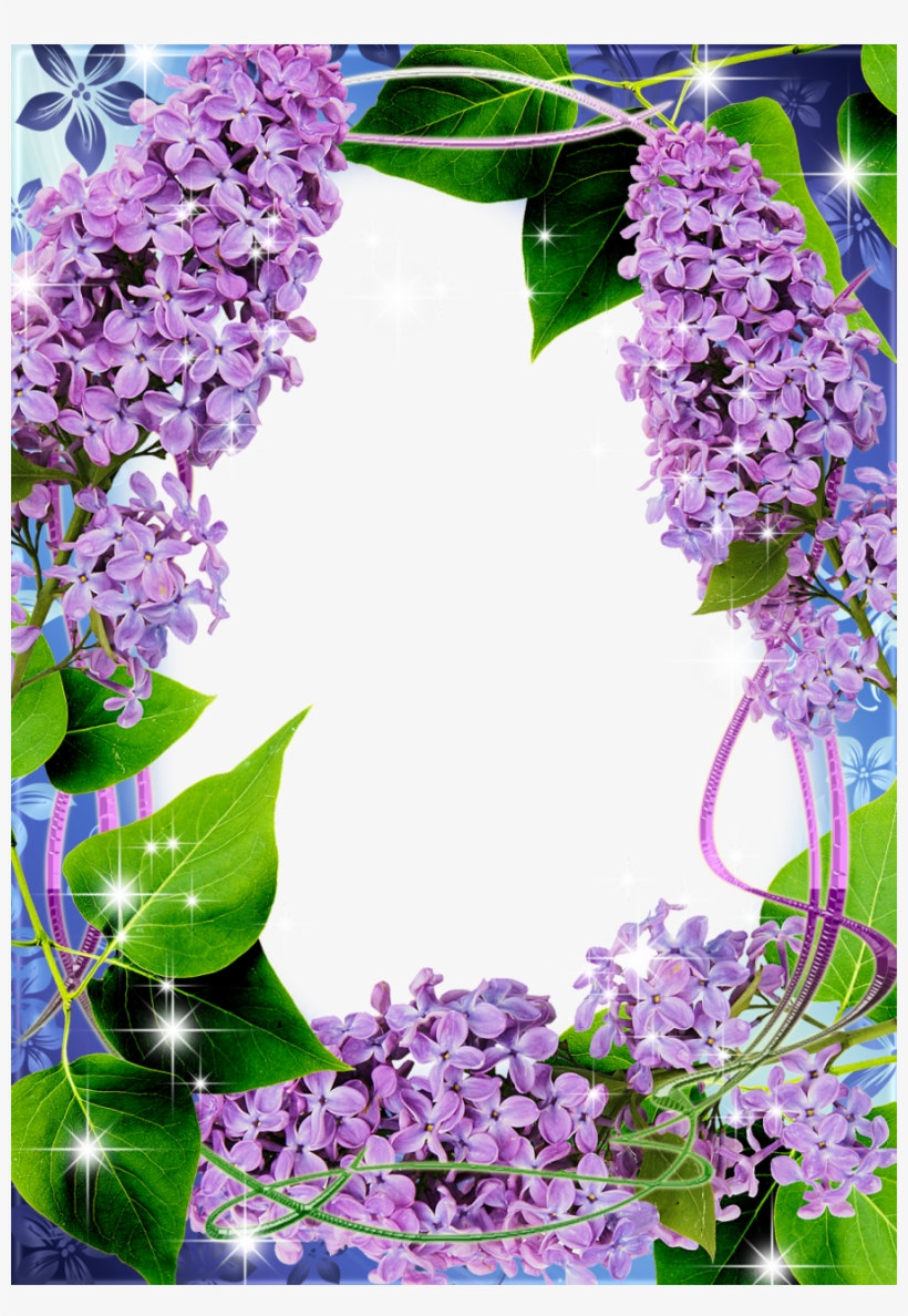 Lilacs Frame Png, transparent png download