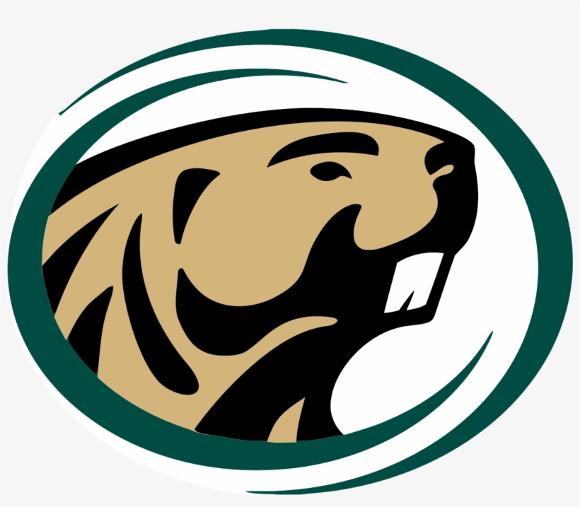 Bemidji State Beavers, transparent png download
