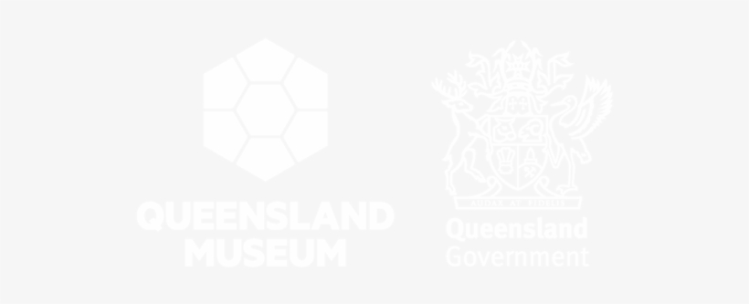 Gladiator Exhibition Brisbane, transparent png download